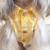 狗服装、薄，对于大型和中型的品种，如黄金猎犬、贵宾犬，bichons，泰迪熊，威尔士矮脚狗，雪纳瑞和小狗，夏天。